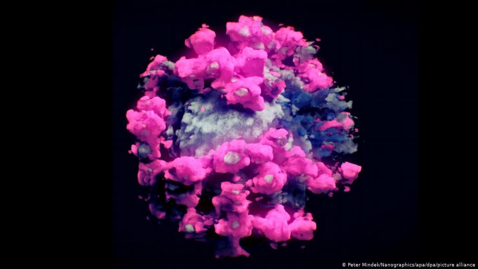 Коронавирустың алғашқы 3D фотосуреті